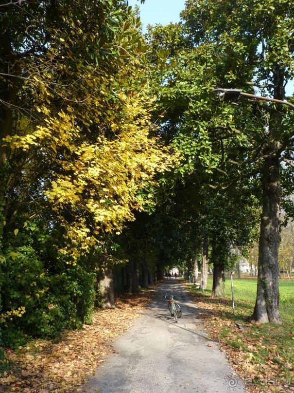 Отдых на термальном курорте перед Рождеством. Велопробежки по окрестностям.  Часть 7. 