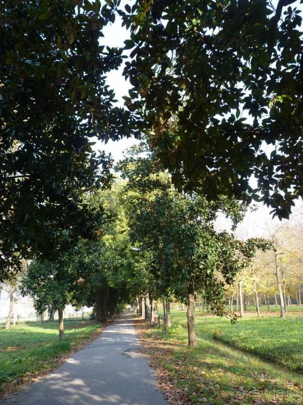 Отдых на термальном курорте перед Рождеством. Велопробежки по окрестностям.  Часть 7. 