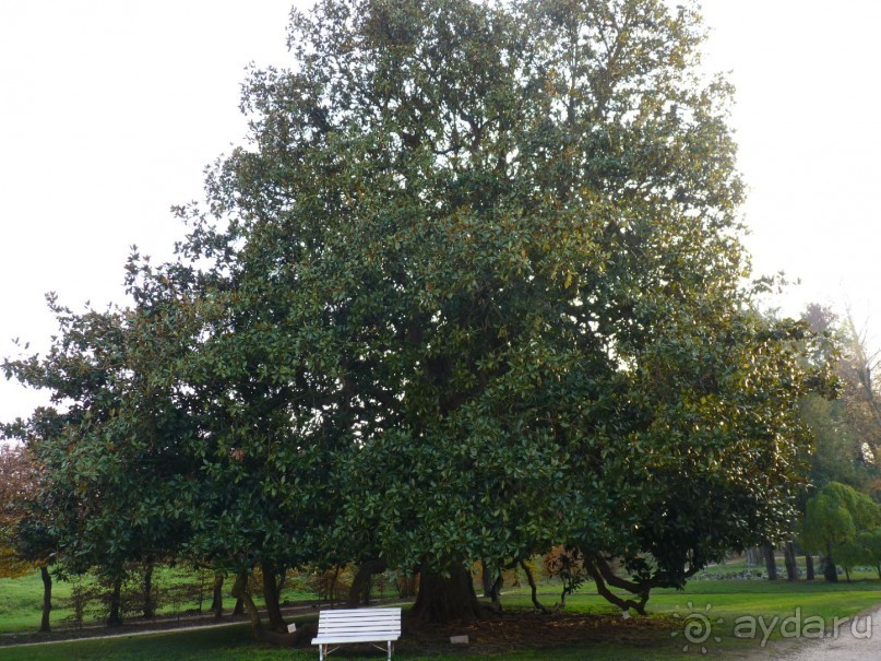 Отдых на термальном курорте перед Рождеством. Велопробежки по окрестностям.  Часть 7. 