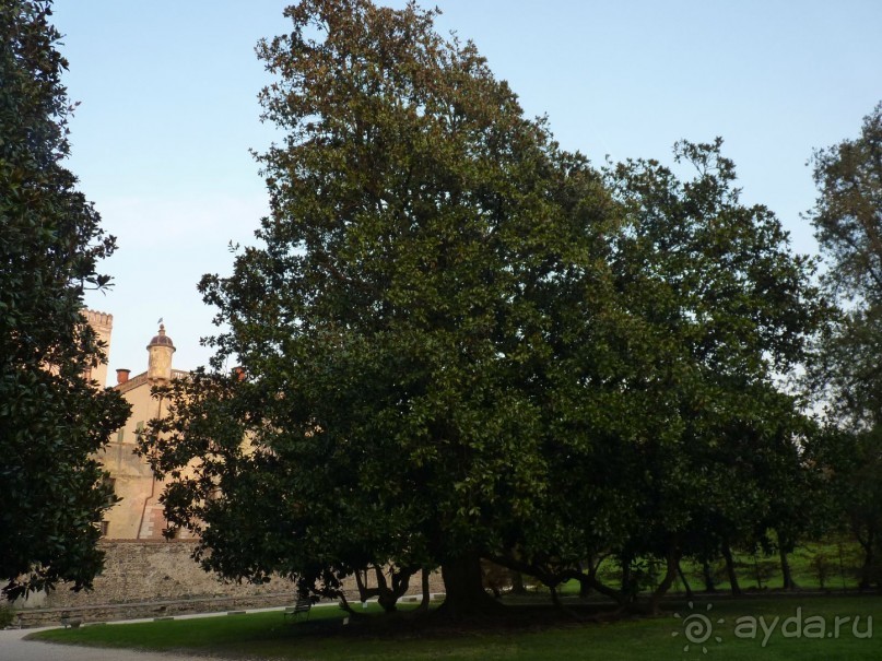 Отдых на термальном курорте перед Рождеством. Велопробежки по окрестностям.  Часть 7. 