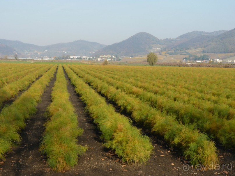 Отдых на термальном курорте перед Рождеством. Велопробежки по окрестностям.  Часть 7. 