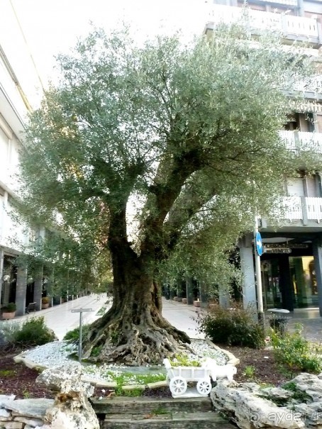 Отдых на термальном курорте перед Рождеством. Велопробежки по окрестностям.  Часть 7. 