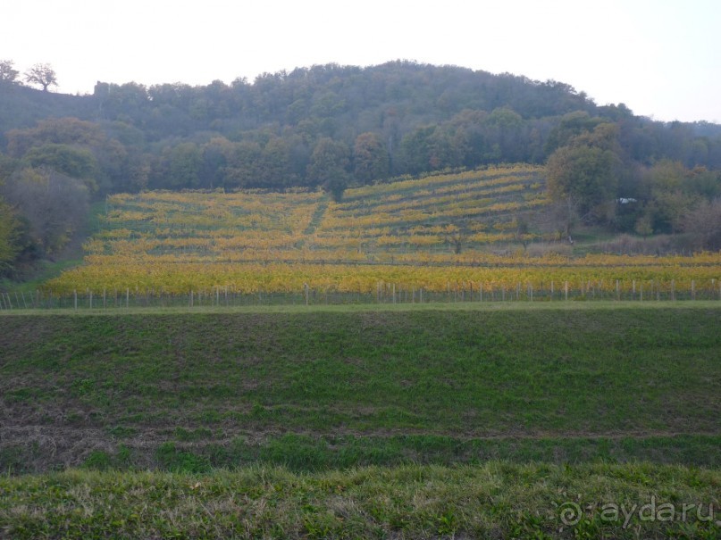 Отдых на термальном курорте перед Рождеством. Велопробежки по окрестностям.  Часть 7. 