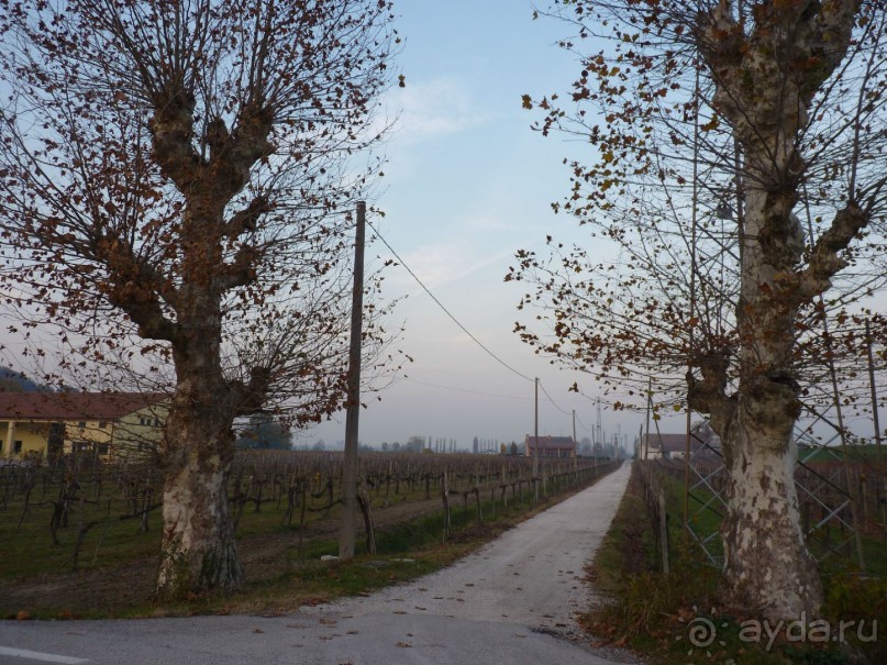 Отдых на термальном курорте перед Рождеством. Велопробежки по окрестностям.  Часть 7. 