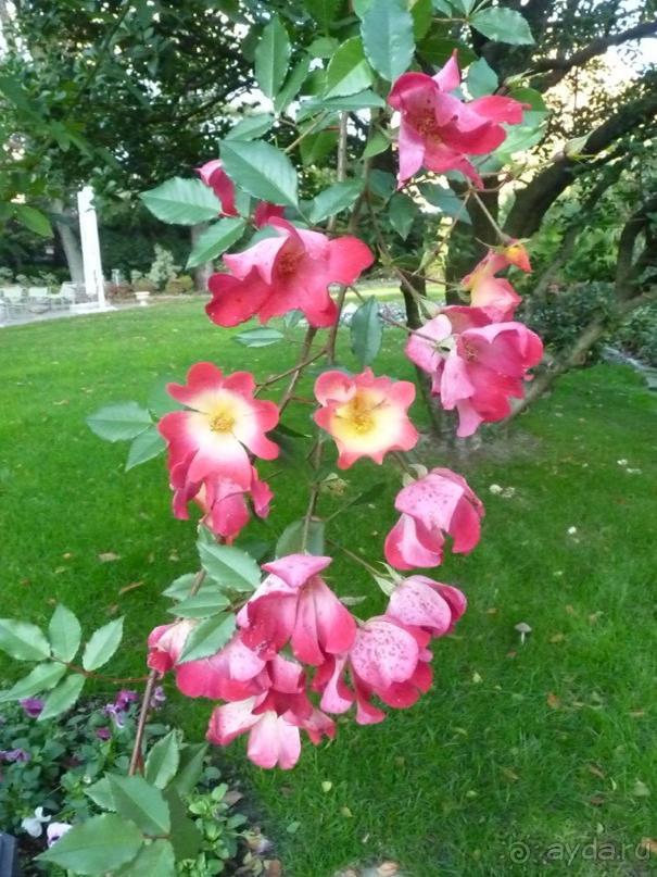 Отдых на термальном курорте перед Рождеством. Велопробежки по окрестностям.  Часть 7. 