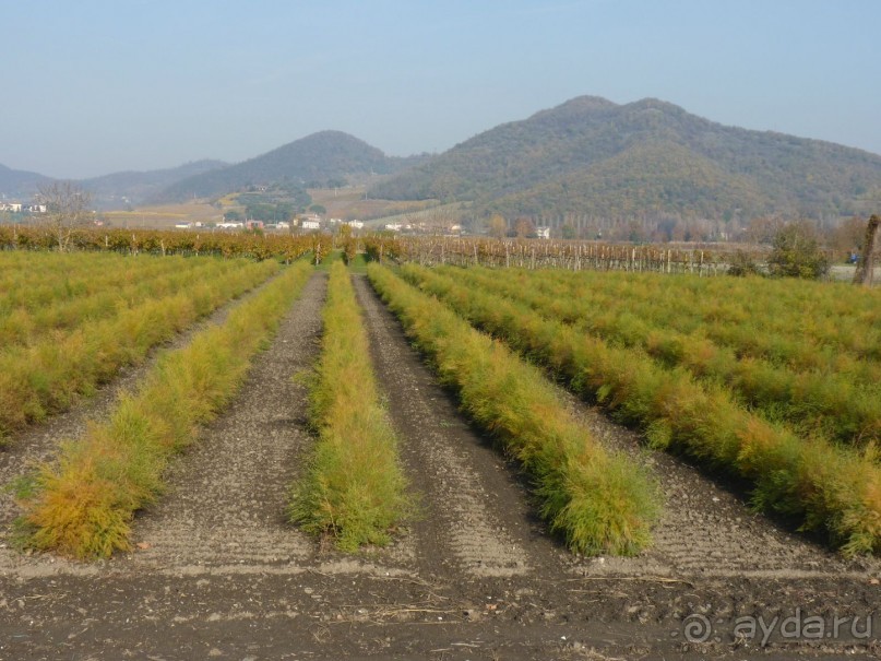 Отдых на термальном курорте перед Рождеством. Велопробежки по окрестностям.  Часть 7. 