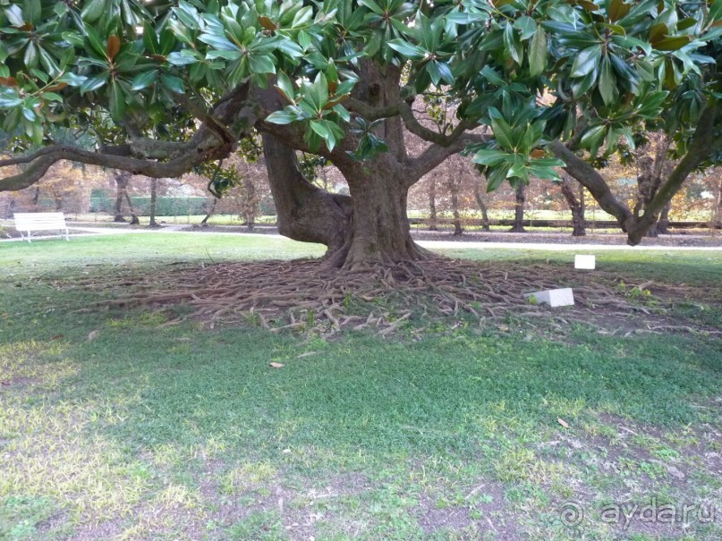 Отдых на термальном курорте перед Рождеством. Велопробежки по окрестностям.  Часть 7. 