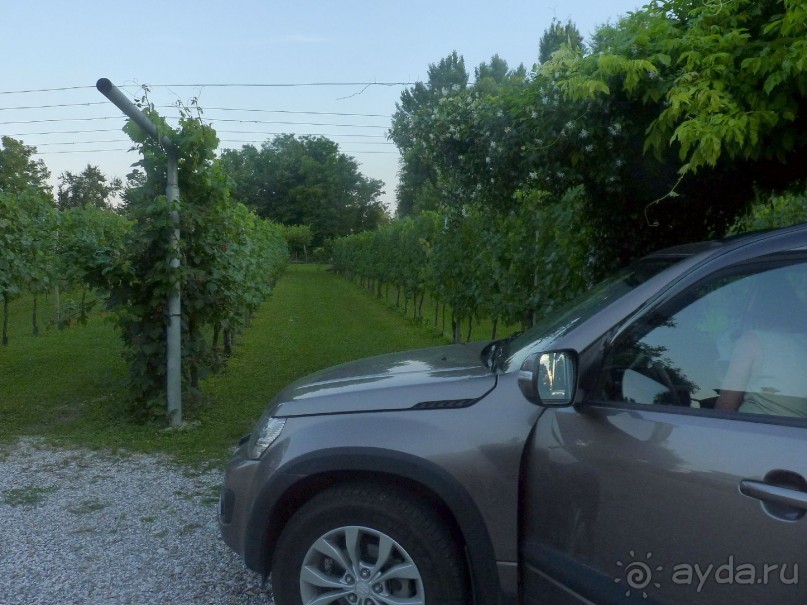 Неожиданная находка в городе Passariano