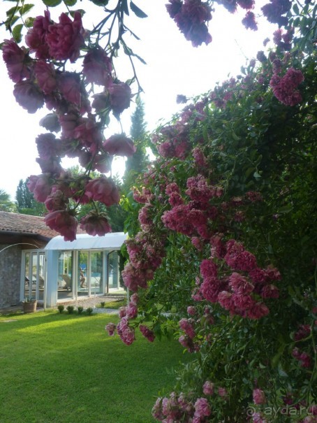 Неожиданная находка в городе Passariano