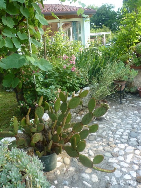 Неожиданная находка в городе Passariano