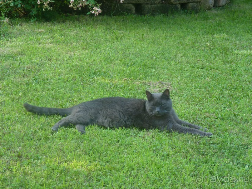 Неожиданная находка в городе Passariano