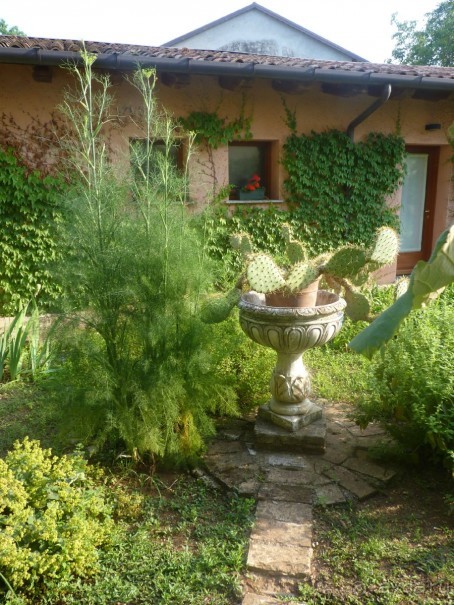 Неожиданная находка в городе Passariano