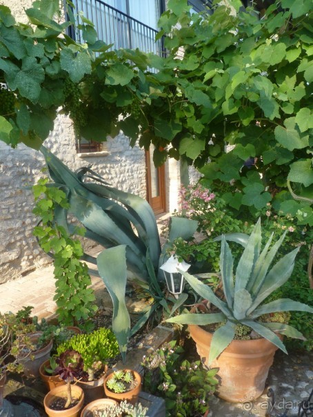 Неожиданная находка в городе Passariano