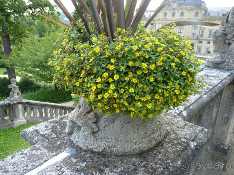 Бавария, Австрия, Италия и другие