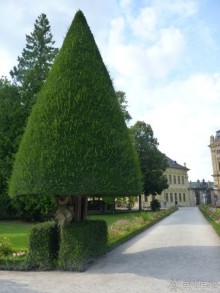 Бавария, Австрия, Италия и другие