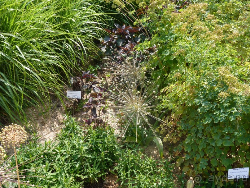 Еще одно путешествие с посещением Чехии, Австрии, Словении и  отдыхом в Хорватии. часть 2