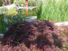 Еще одно путешествие с посещением Чехии, Австрии, Словении и  отдыхом в Хорватии. часть 2