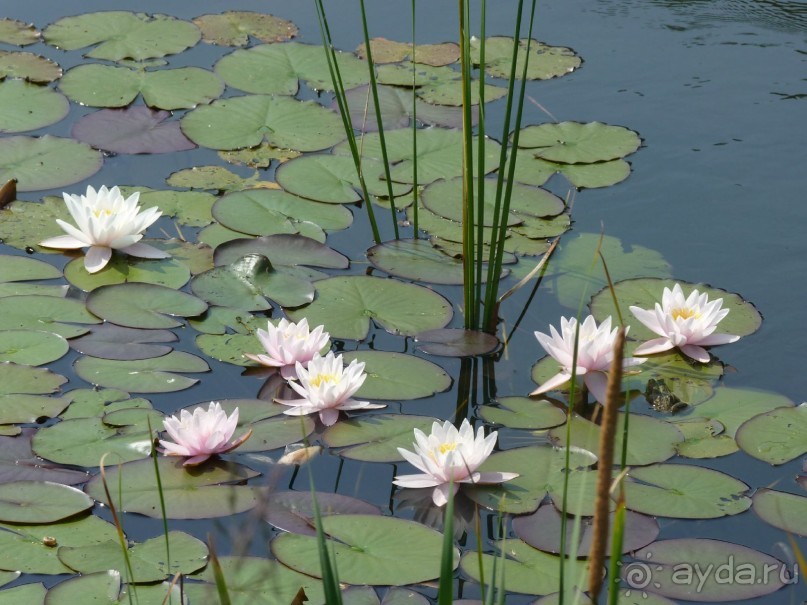 Еще одно путешествие с посещением Чехии, Австрии, Словении и  отдыхом в Хорватии. часть 2