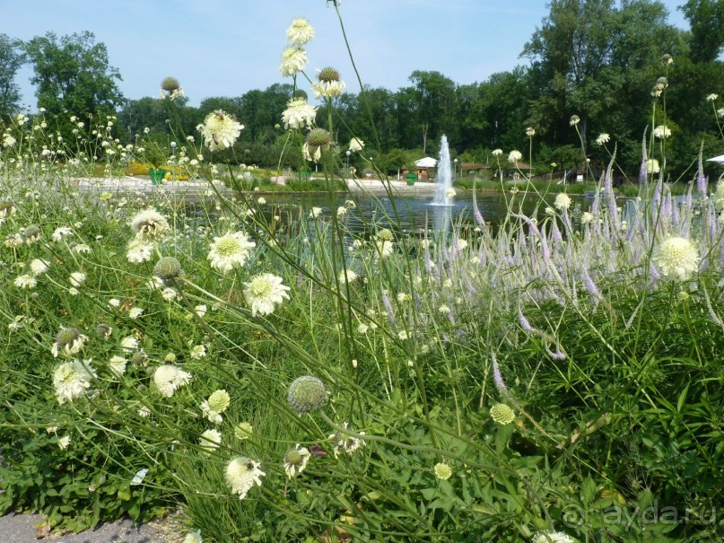 Еще одно путешествие с посещением Чехии, Австрии, Словении и  отдыхом в Хорватии. часть 2