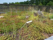 Еще одно путешествие с посещением Чехии, Австрии, Словении и  отдыхом в Хорватии. часть 2