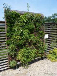 Еще одно путешествие с посещением Чехии, Австрии, Словении и  отдыхом в Хорватии. часть 2