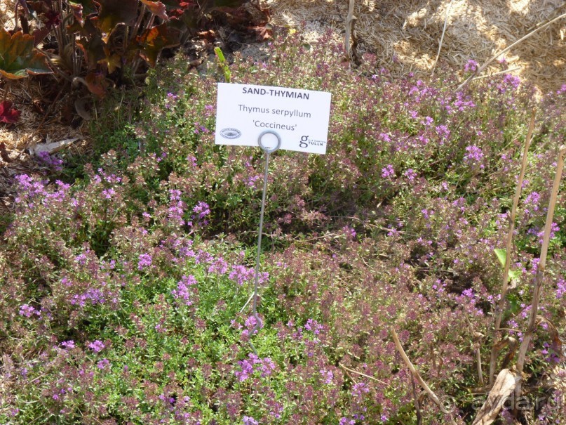 Еще одно путешествие с посещением Чехии, Австрии, Словении и  отдыхом в Хорватии. часть 2