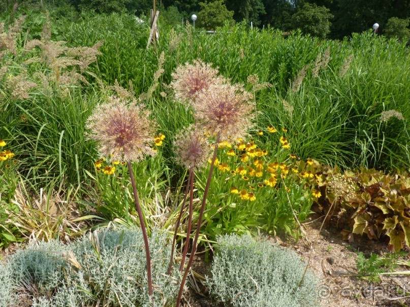 Еще одно путешествие с посещением Чехии, Австрии, Словении и отдыхом в Хорватии. часть 2 Еще одно путешествие с посещением Чехии, Австрии, Словении и отдыхом в Хорватии. часть 2