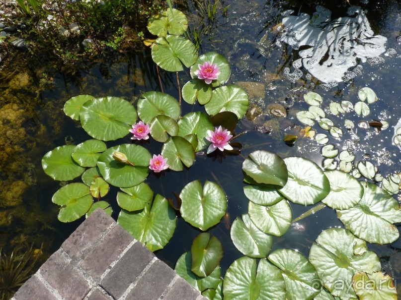 Еще одно путешествие с посещением Чехии, Австрии, Словении и отдыхом в Хорватии. часть 2 Еще одно путешествие с посещением Чехии, Австрии, Словении и отдыхом в Хорватии. часть 2