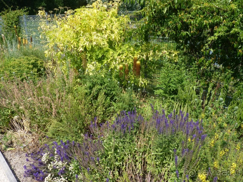 Еще одно путешествие с посещением Чехии, Австрии, Словении и отдыхом в Хорватии. часть 2 Еще одно путешествие с посещением Чехии, Австрии, Словении и отдыхом в Хорватии. часть 2