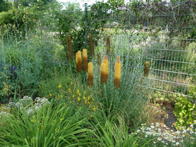 Еще одно путешествие с посещением Чехии, Австрии, Словении и отдыхом в Хорватии. часть 2 Еще одно путешествие с посещением Чехии, Австрии, Словении и отдыхом в Хорватии. часть 2