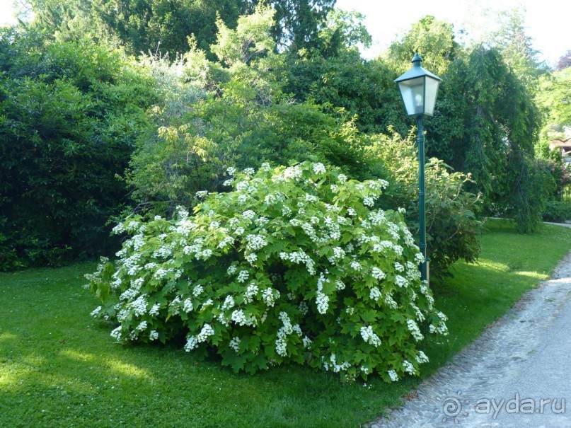Баден просто Баден