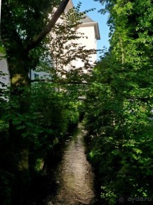 Баден просто Баден