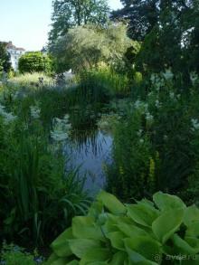 Баден просто Баден