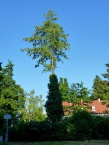 Баден просто Баден