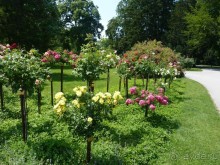 Баден просто Баден