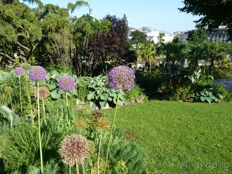 Баден просто Баден