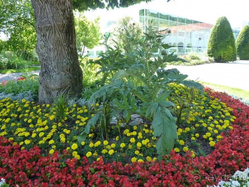 Баден просто Баден