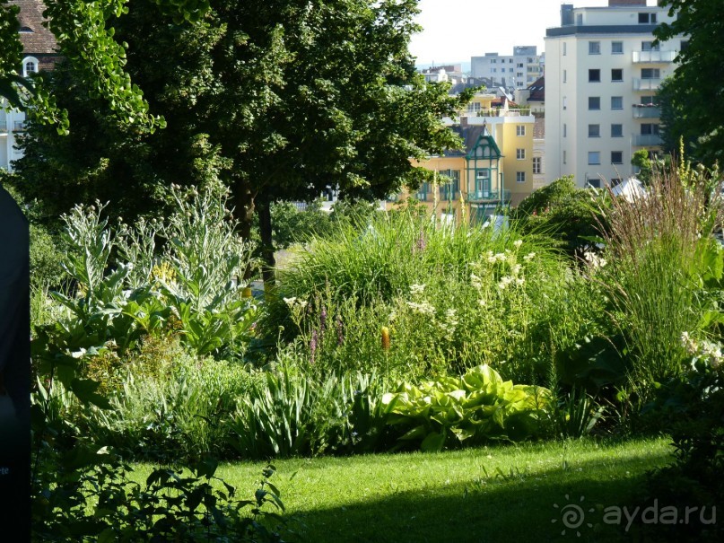 Баден просто Баден