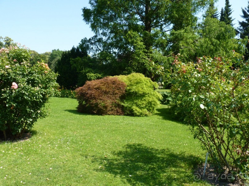 Баден просто Баден