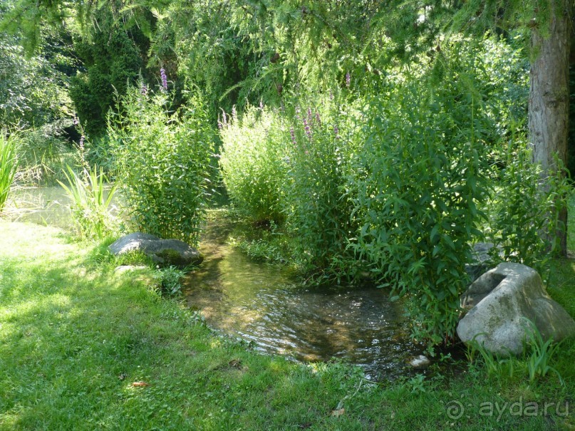 Баден просто Баден