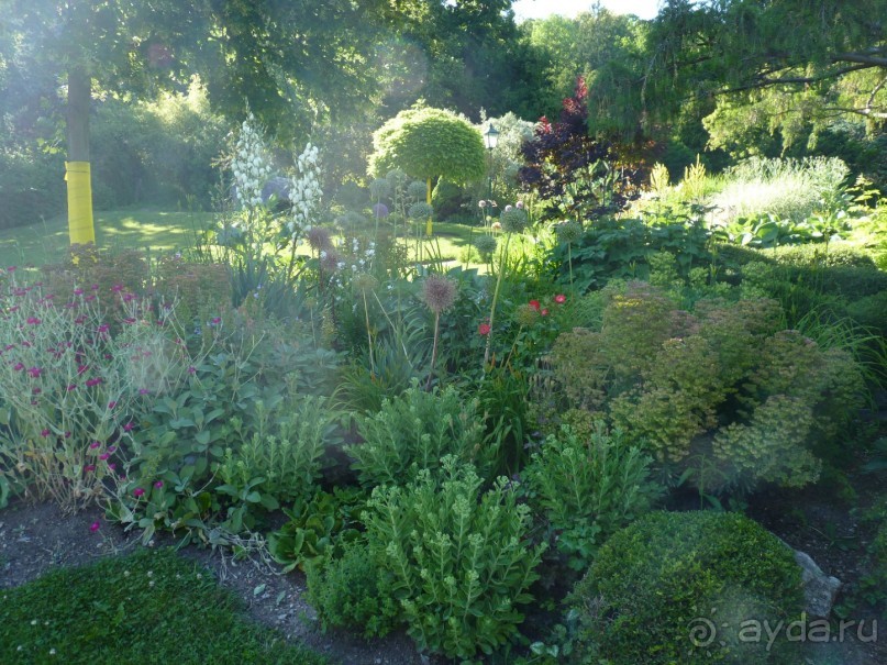 Баден просто Баден