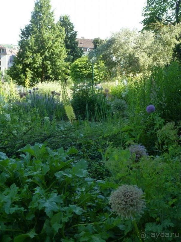 Баден просто Баден