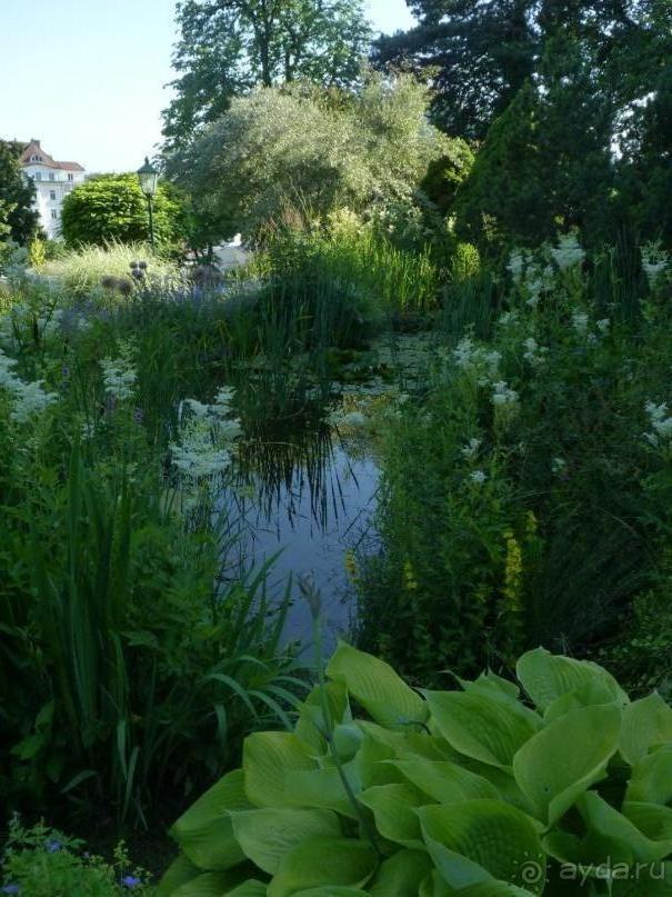 Баден просто Баден