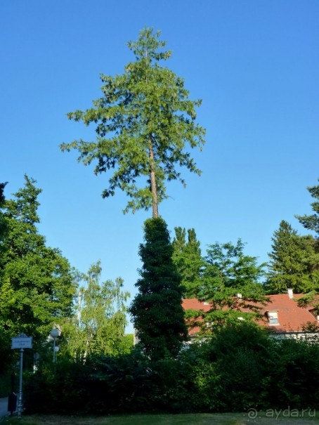 Баден просто Баден