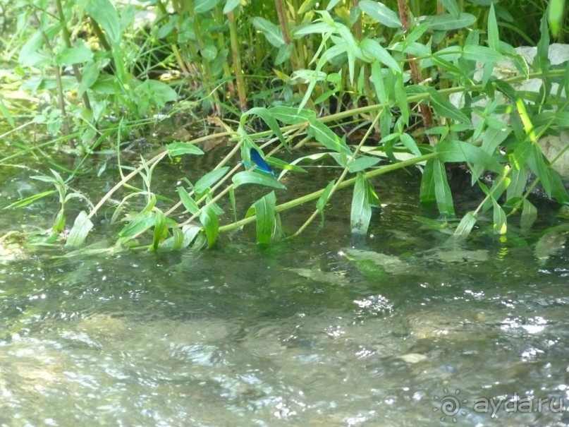 Баден просто Баден