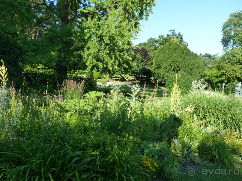 Баден просто Баден