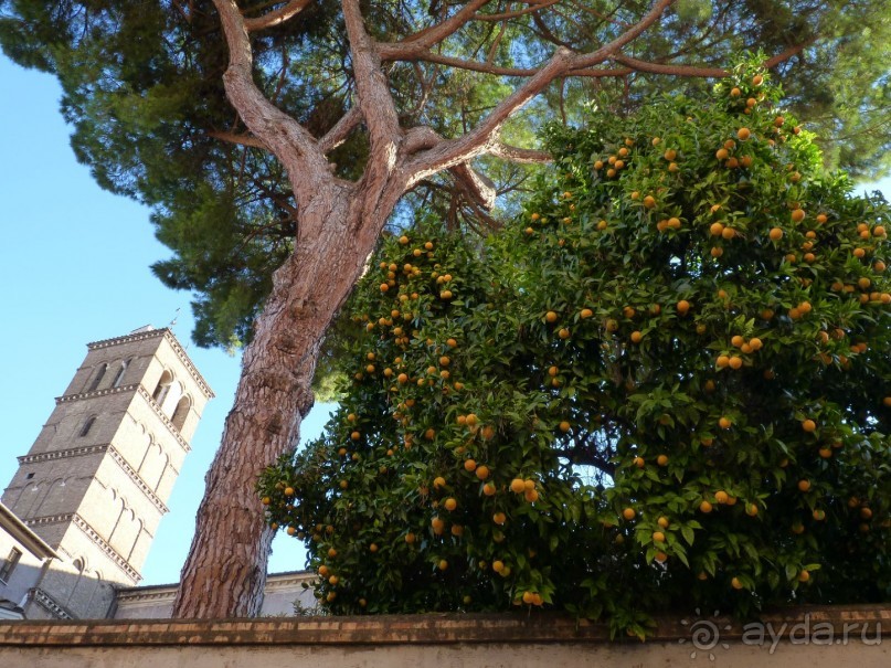 Путешествие перед Рождеством, на поезде из Москвы в Рим и далее с остановками....  четыре дня в Риме