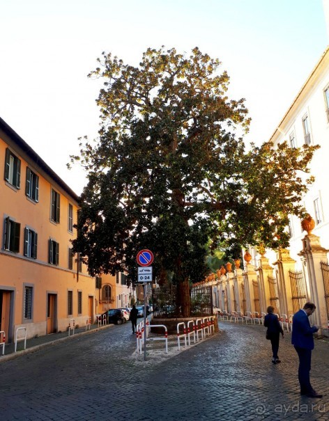 Путешествие перед Рождеством, на поезде из Москвы в Рим и далее с остановками....  четыре дня в Риме