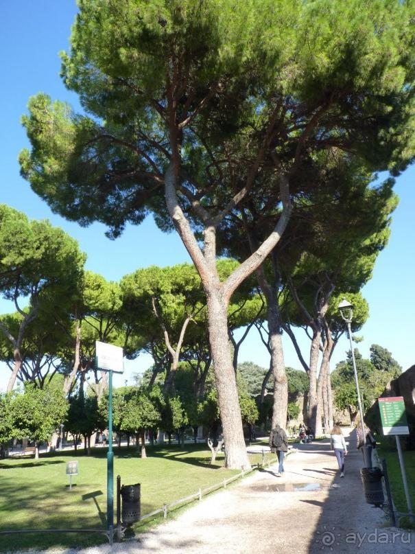 Путешествие перед Рождеством, на поезде из Москвы в Рим и далее с остановками....  четыре дня в Риме