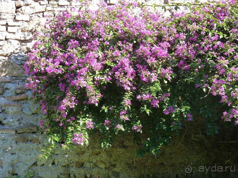 Путешествие перед Рождеством, на поезде из Москвы в Рим и далее с остановками....  четыре дня в Риме